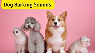 Dog Barking Sound See How your Dog Reacts Dog Barking [upl. by Idihsar895]