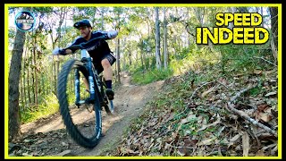 SEQs LATEST FLOW LINE UNVEILED  UNCOVERING THE BEST OF CORNUBIA MTB TRAILS [upl. by Bonni]