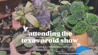 My First Time Ever at a Plant Show Attending the Texas Aroid Show in Dallas TX 🤠 [upl. by Lavern]