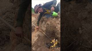 Metal Detector vs Map for the Best Finds Treasure metaldetecting shortsvideo [upl. by Lledner]