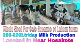 Whole Cow Shed For Sale Near Hosakote Bangalore [upl. by Ranchod932]