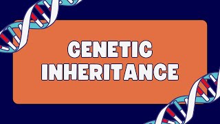 Pleiotropy Vs Epistasis Vs Polygenic inheritance [upl. by Ahsik]