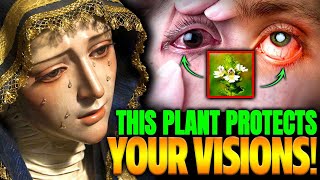 Medjugorje  A Disease Is Coming That Will Attack Your Eyes Use This Plant Daily For Protection [upl. by Kress]