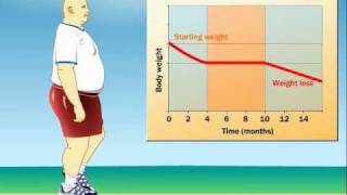 How Does Exercise Impact Weight Loss [upl. by Feodor]