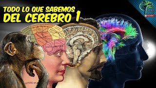 TODO LO QUE SABEMOS HASTA HOY DEL CEREBRO PARTE 1  Historia estudios y homúnculo [upl. by Alletse]