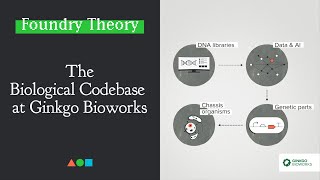 FT023  The Biological Codebase at Ginkgo Bioworks [upl. by Perce894]