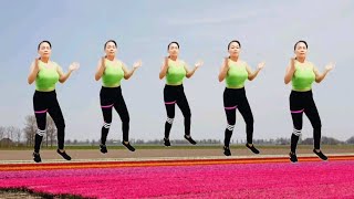 aerobics dance exercise lose weight reduce fat slim waistlovely dance fit [upl. by Gnagflow]