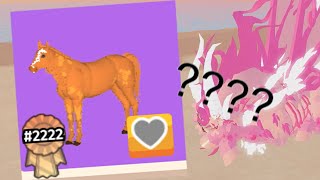 What do the numbers and ribbons mean Horse Life ROBLOX  SakuraStallion [upl. by Lorenzana]