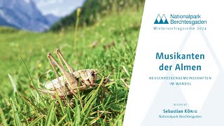 Musikanten der Almen – Heuschreckengemeinschaften im Wandel [upl. by Alberik]