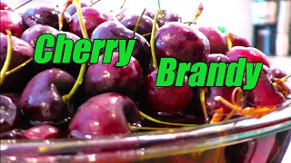 🍒How to Make CHERRY BRANDY  Kirschwasser🍒 [upl. by Ahsilad]