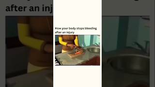 How to Wound Healing Stop Bleeding [upl. by Hashimoto]