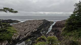 Wild Pacific Trail  Ucluelet Vancouver Island BC [upl. by Ahsatin]