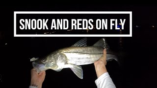 Night Time Snook and Redfish on Fly [upl. by Ecylla]