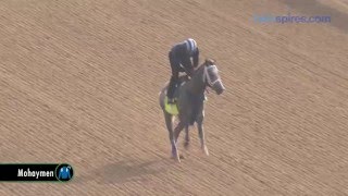 Derby Hopeful Mohaymen Gallops on Monday April 24 at Churchill Downs [upl. by Airdnekal]