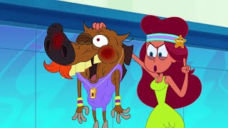 Zig amp Sharko  FITNESS SESSION S03E38 BEST CARTOON COLLECTION  New Episodes in HD [upl. by Holofernes]