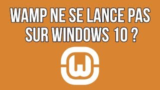 résoudre le problème dicon orange sur wampserver [upl. by Kresic]