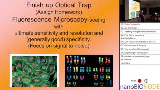 Biophysics 401 Lecture 17 Optical Resolution [upl. by Herries477]