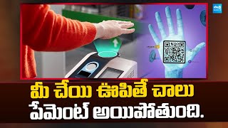 Palm Scan Payments Is Like Waving at a Friend  digitalpayment payment SakshiTVBusiness1 [upl. by Norab63]