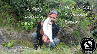 How To Catch Gilthead Bream  A Gilty Obsession EP7  Cornwall Fishing [upl. by Canfield]