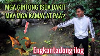 KAKAIBANG ISDA NATAGPUAN l BINABANTAYAN NG MGA ENGKANTADA [upl. by Hayidan]