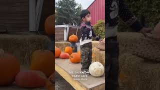 THE SASKATOONFARM pumpkin saskatoon travelvlog halloween ytshorts youtubeshorts travel fall [upl. by Jarita183]