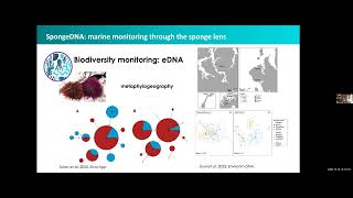 Monitoring the biodiversity of benthic communities through the sponge lens  MEEgene 10122024 [upl. by Rhtaeh91]