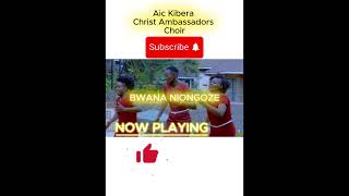 Bwana Niongoze Trailer shorts [upl. by Elleiram710]