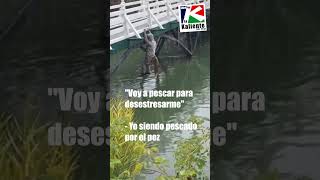 pesca pescador pescando humor parati video memes mexico risassinfin shorts video [upl. by Ainesey]