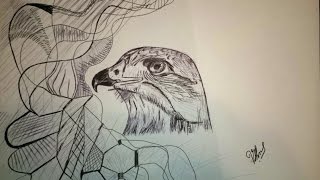 Si te vizatojme koken e shqiponjes how to draw a Eagle Headme stilolapsballpoint pen [upl. by Abihsat]