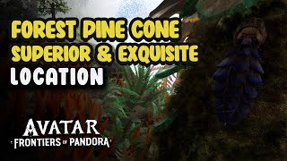 Forest Pine Cone Superior amp Exquisite Location  Avatar Frontiers Of Pandora [upl. by Nahum468]