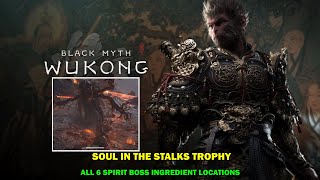 Black myth wukong walkthrough  Soul in the stalks trophy  All 6 spirit boss locations 2 [upl. by Avlis]