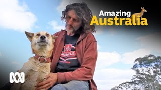 Farmer controls wild dingos with his own pack 🐶  ABC Australia [upl. by Angela]