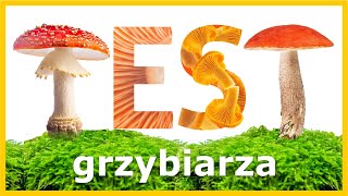 Test Grzybiarza  Ile z tych Grzybów Znasz Szybki Quiz [upl. by Felicio]