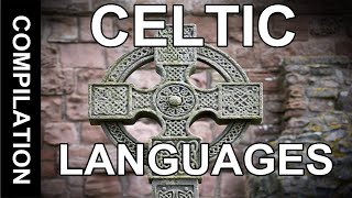 Celtic Languages comparison  Celtic language family  Verbale Mondo [upl. by Dougall]