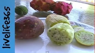 Why Eat Cactus Fruit Prickly Pear [upl. by Salb]