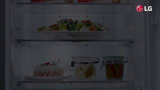 LG Premium Bottom Freezer Refrigerator  USP Video  2Step Folding Shelf [upl. by Vergne]