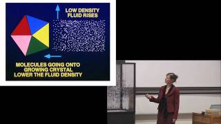 Professor Elspeth Garman delivers the 2010 Dorothy Hodgkin Memorial Lecture [upl. by Vasileior]