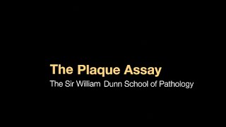 The plaque assay [upl. by Eniroc65]