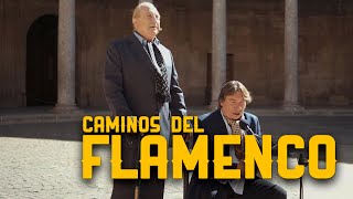 Jaime El Parrón y Curro Albaicín  Caminos del Flamenco  La2 [upl. by Childs740]