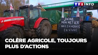 Colère des agriculteurs  les actions se multiplient [upl. by Ikkir189]