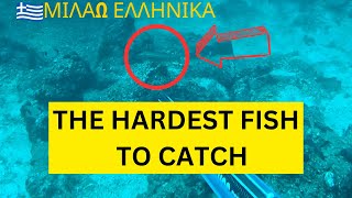 This Is The Hardest Fish To Catch  Spearfishing Greece [upl. by Saoj956]