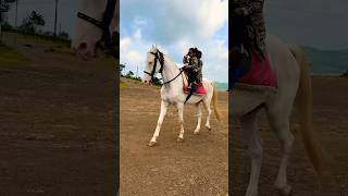 Horse video 🐎  horse horses ghoda cutebaby ytshorts viral trending shortsfeed ytvideo [upl. by Fennelly]