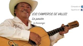 LOS CAMPEROS DE VALLES La pasión La huasanga [upl. by Yramliw]