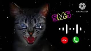 cat SMS sound trending viralvideo impression ringtone sms [upl. by Riebling86]