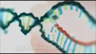 Protein synthesis DNA transcription translation and folding [upl. by Giraldo560]