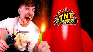 I Bought The Worlds Largest Firework 600000 [upl. by Buatti]