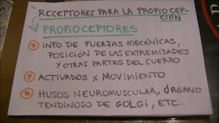 Sistema Somatosensorial tacto  propiocepción  T y dolor [upl. by Margareta]