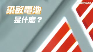 【生態環保】什麼是「染敏電池」？ [upl. by Helsa]