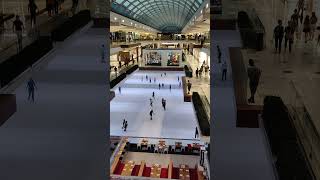 dreamtrackai Mall in USA  Skitting play inside the mall song dreamalliance dreamstar [upl. by Shellans707]