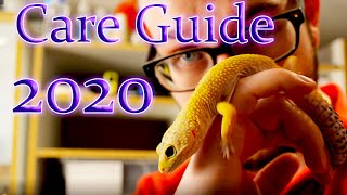 Leopard Gecko Complete Care Guide 2020 [upl. by Yrakcaz373]